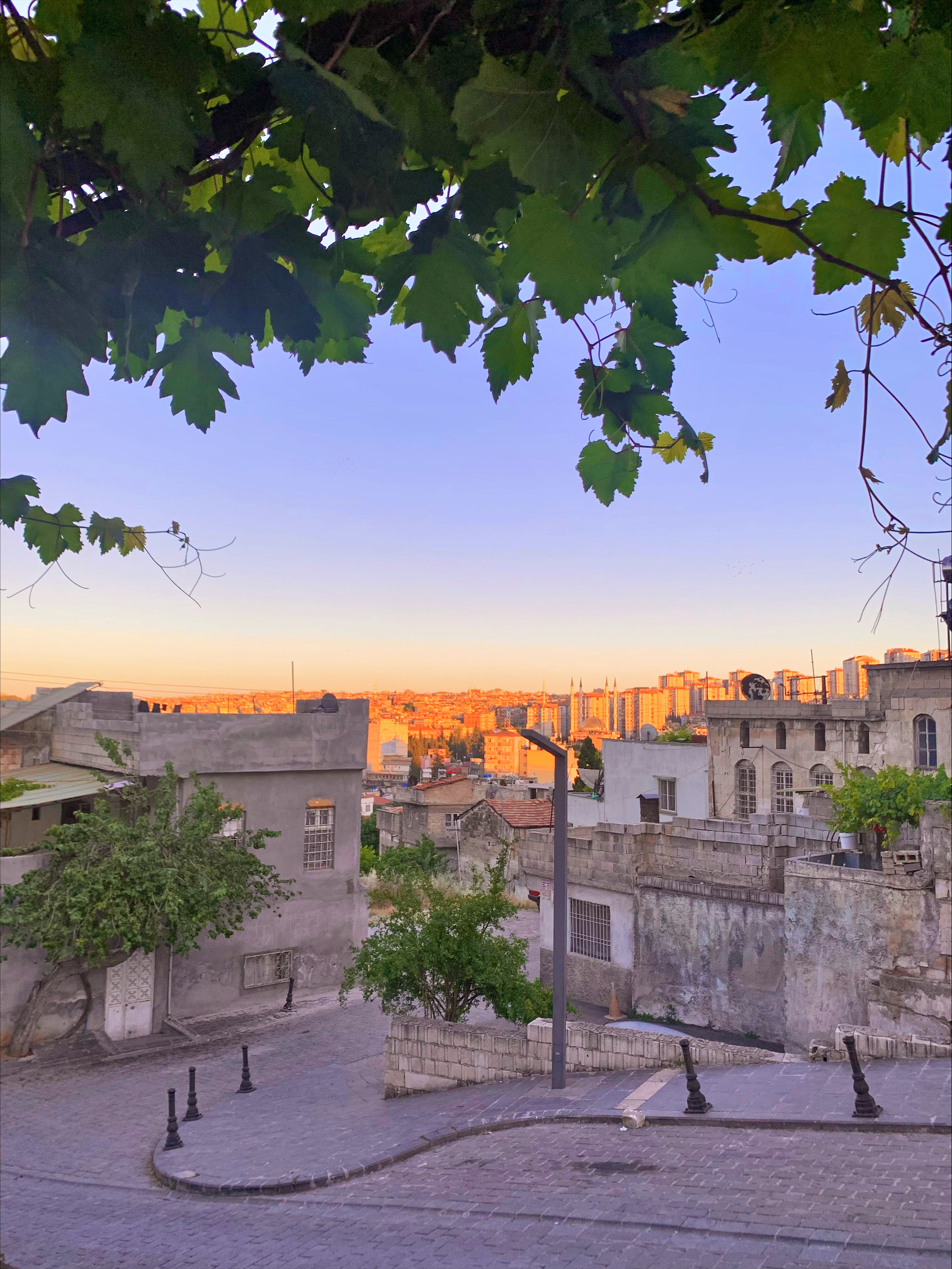 Processed FE3C99E9 D0DA 4F3F 8834 6916E611D0BC